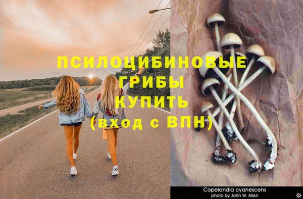 крисы Балахна