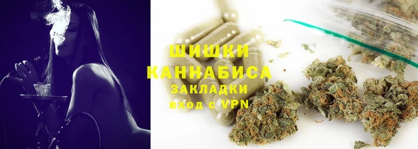 ГАЛЛЮЦИНОГЕННЫЕ ГРИБЫ Баксан